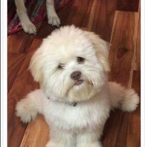 Meet your Posher, Celeste